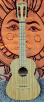 Cascha Concert Acoustic Electric Ukulele
